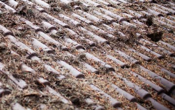 Eals roof cleaning companies