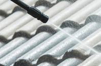 rated Eals roof cleaning companies