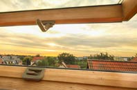 rated Eals roof window companies
